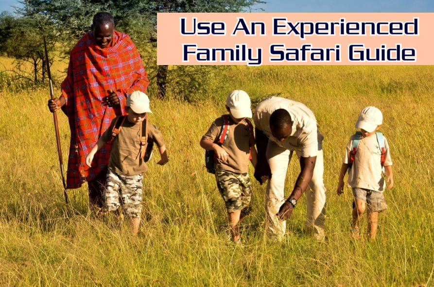 Family Safari Guide