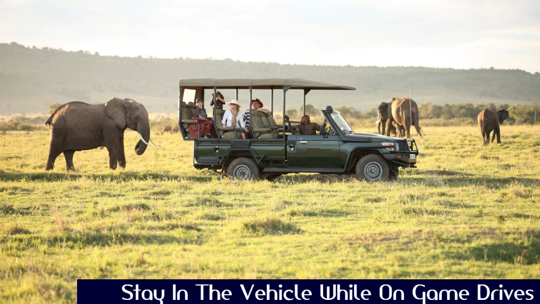 Vehicle While On Game Drives