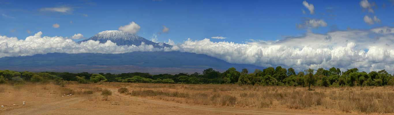Mt.Kilimanjaro & Safari