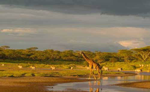 Ndutu safari lodge Ngorongoro