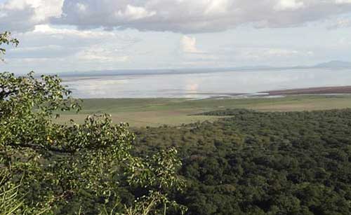 Lake Manyara Wildlife lodge