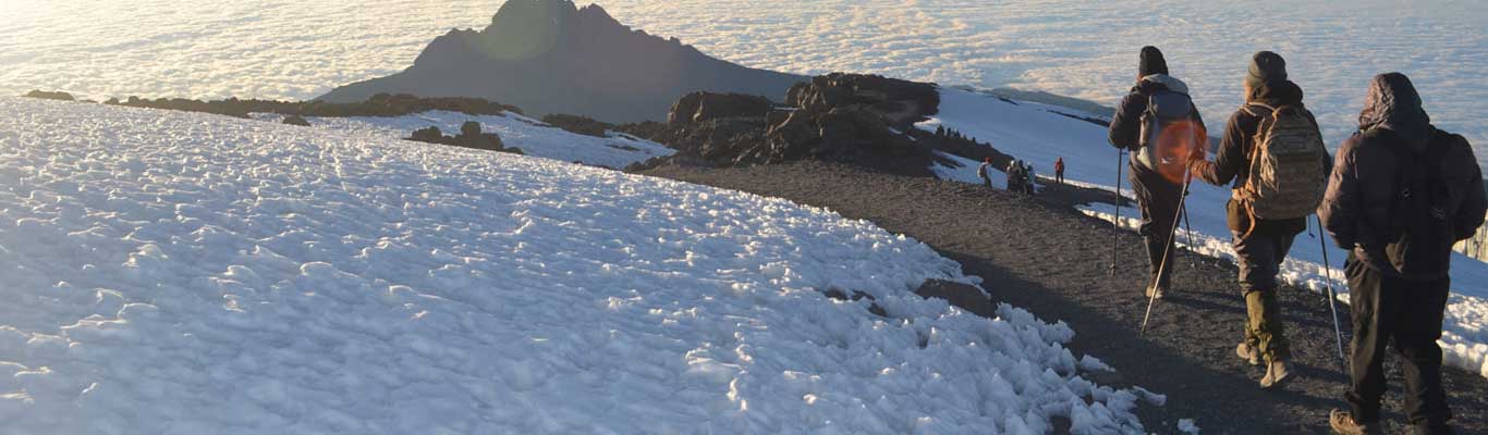 Kilimanjaro Hiking